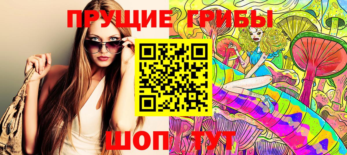 где купить наркоту  Вход с VPN  Галлюциногенные грибы Magic Shrooms  Тимашёвск  Галлюциногенные грибы Psilocybine cubensis 