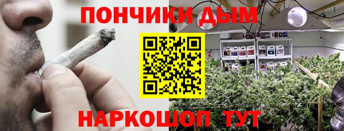 Каннабис OG Kush  Канабис конопля  Бошки Шишки семена  Тимашёвск  Вход с VPN 